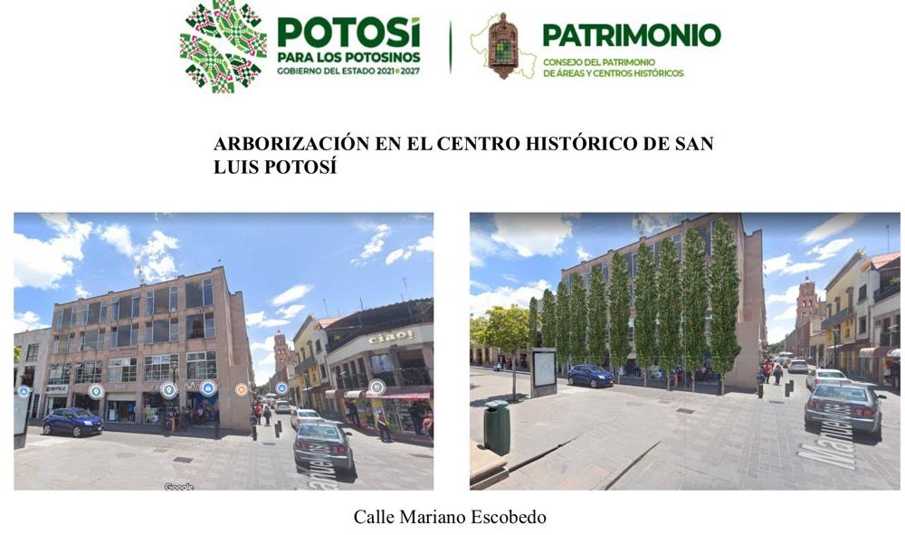 Barreras verdes ayudan al plan de conservación del Centro Histórico